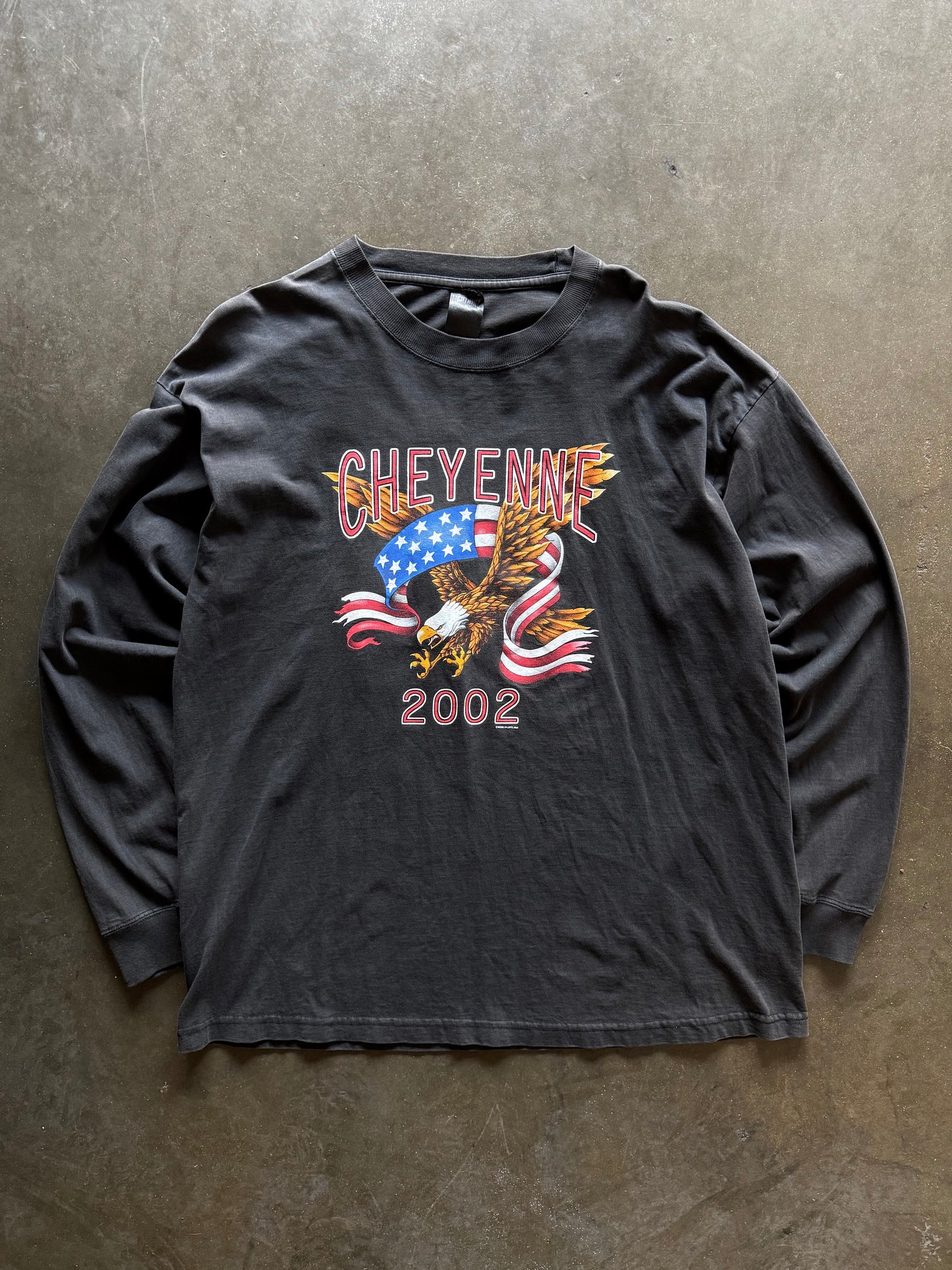 2000’s Cheyenne Patriotic L/S Shirt