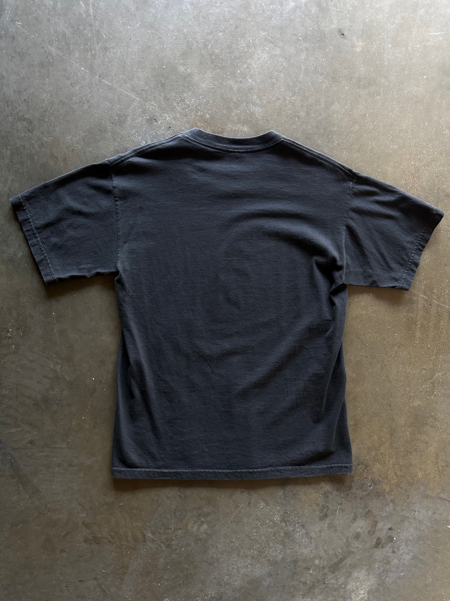 2000’s Iruka Auora Concert Shirt