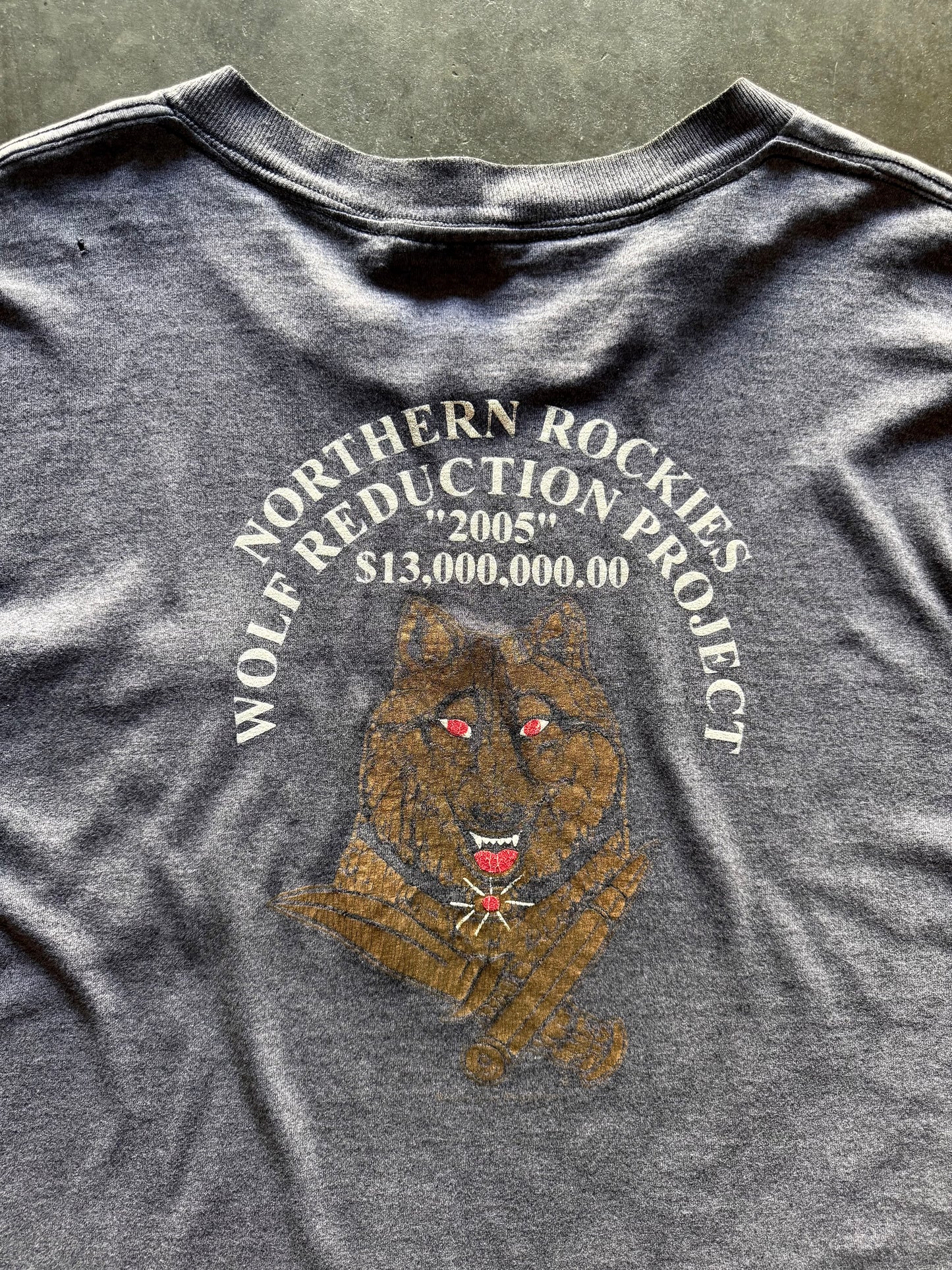 90’s Northern Rockies Project Shirt