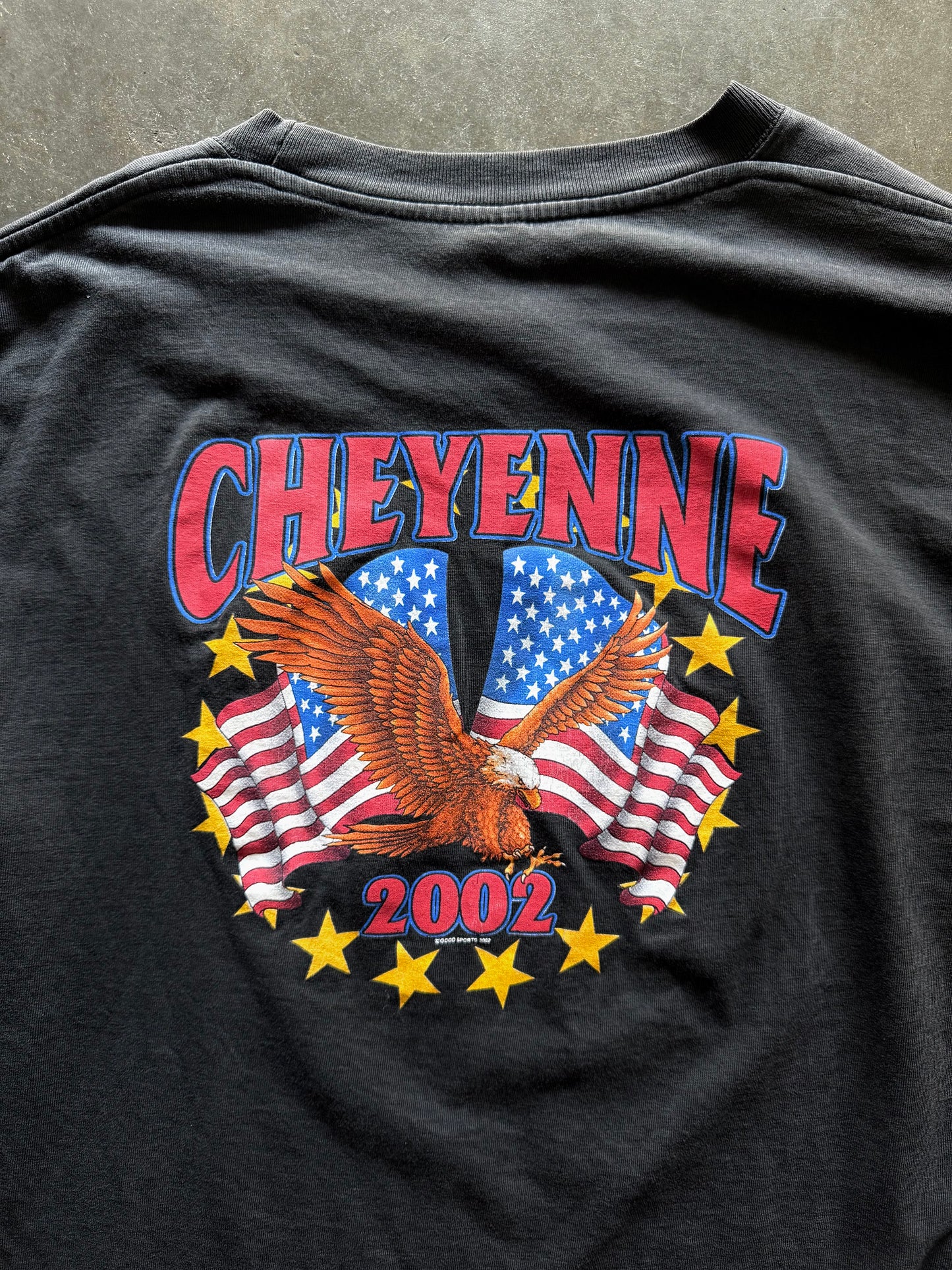 2000’s Cheyenne Patriotic L/S Shirt